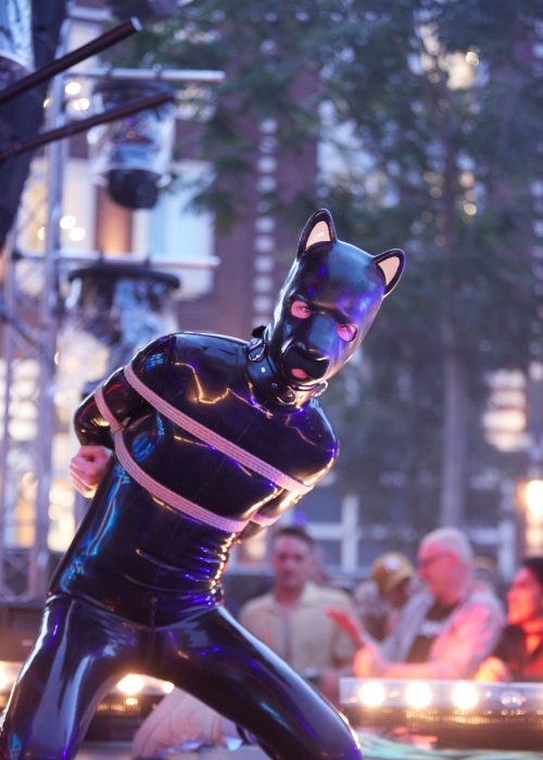 514354537_10163063793442402_4052825861195545613_n